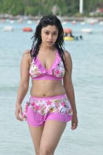 Payal Ghosh (Harika) in Bikini Swimwear Photoshoot on 30th May 2010 (130).JPG